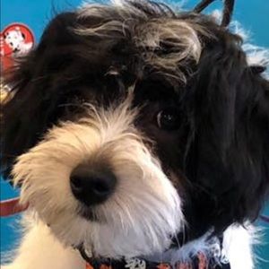 Meet your Posher, Angela